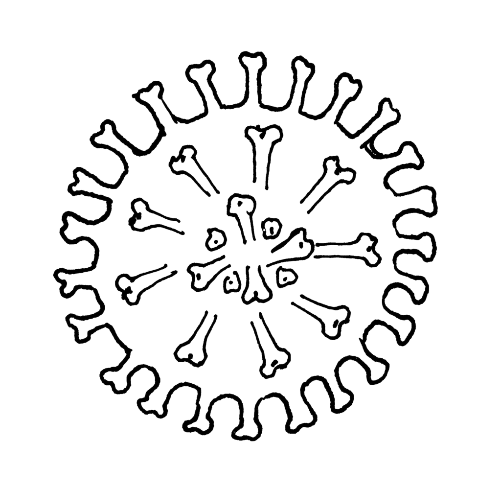 Původce infekčního onemocnění hepatitidy A – Hepatitis A Virus (HAV)