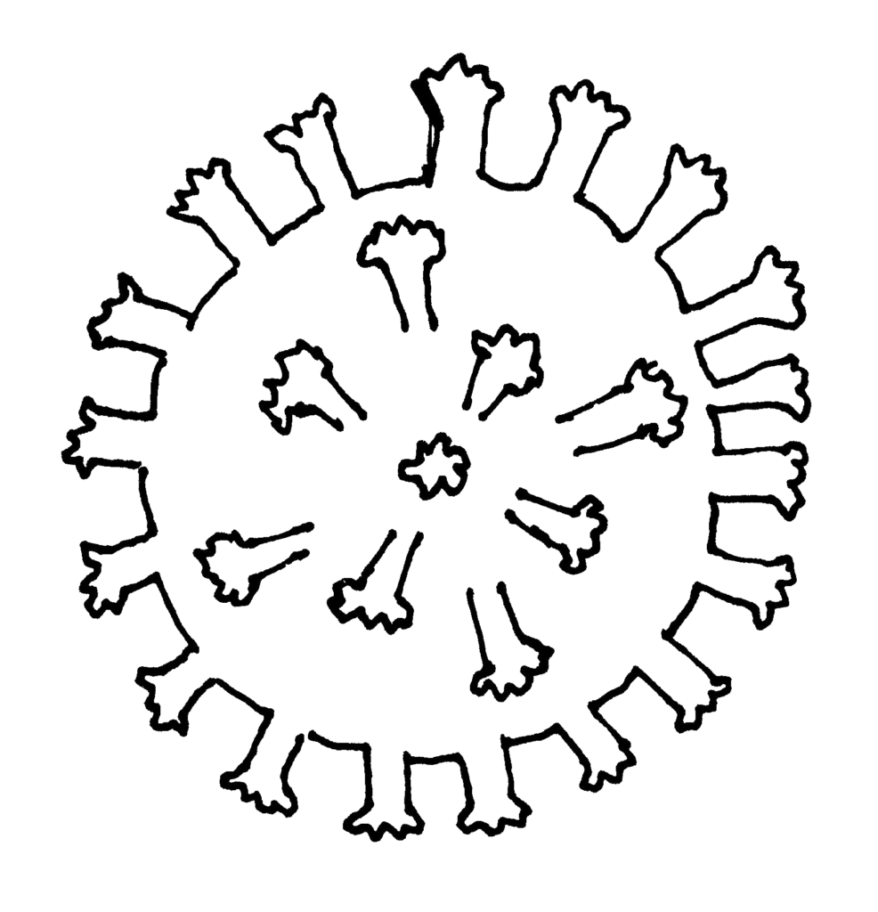 Původce infekčního onemocnění hepatitidy B – Hepatitis B Virus (HBV)