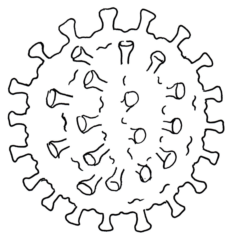 Lidský herpes virus typ 7