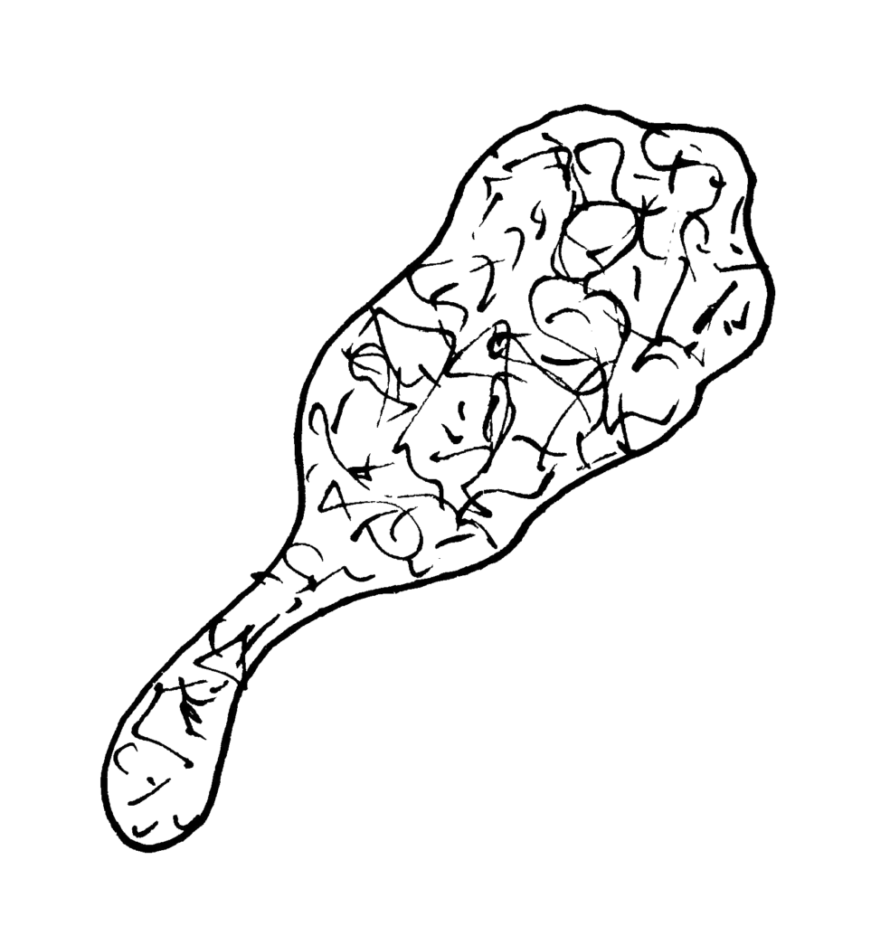 Původce mykoplazmových infekcí – bakterie Mycoplasma genitalium